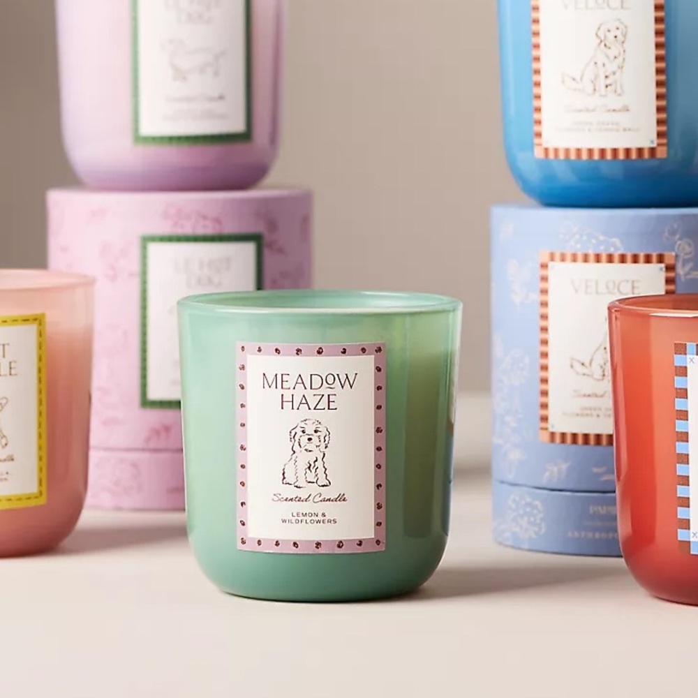 PAPIER X ANTHROPOLOGIE | 8 oz. | Champs De France Homebody Meadow Haze Candles